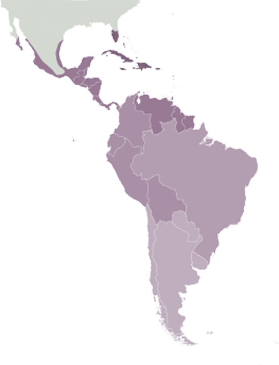 Mapa de Femicidios de Latinoamerica